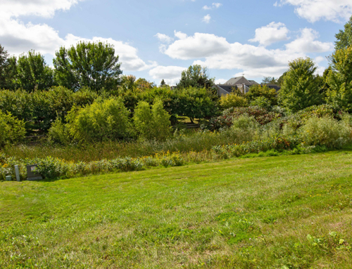Vacant Lot Purchase Benefits Owners